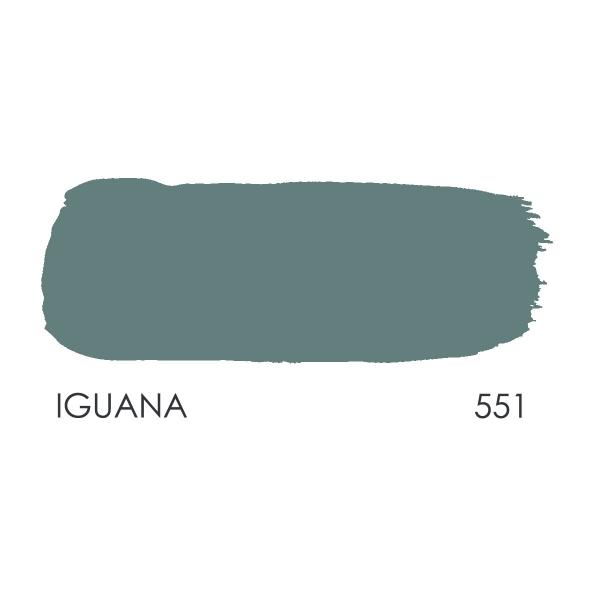 Paint Library 551, IGUANA