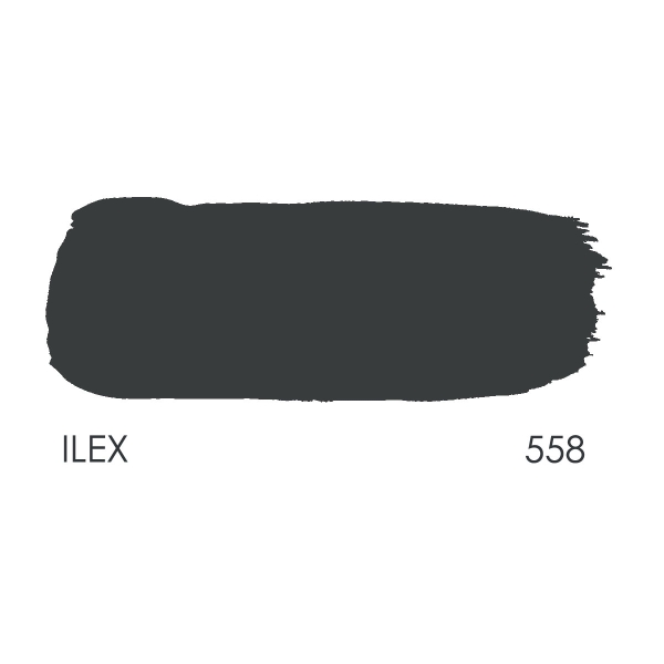 Paint Library 558, ILEX