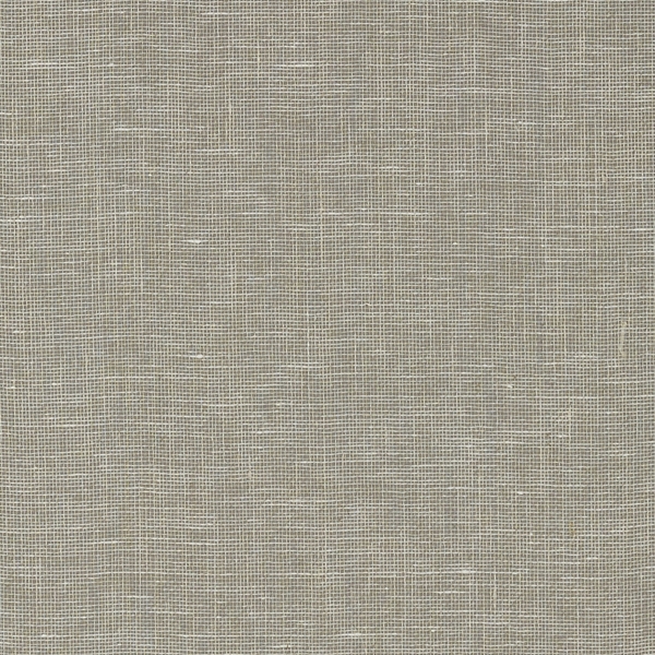 Обои натуральные Thibaut T10853 Villa Garden Texture Charcoal коллекции Heritage